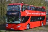 Cabriobus rot